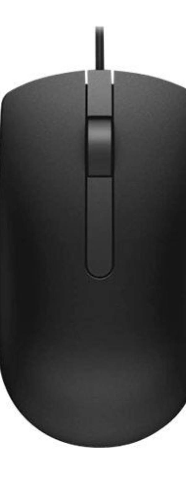 Souris filaire Dell MS116 noire